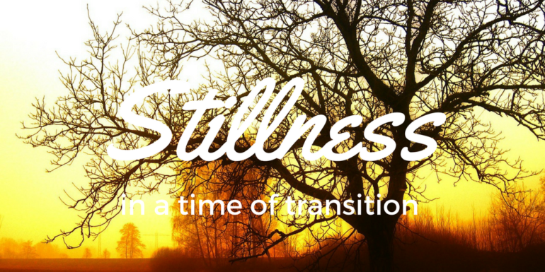 stillness sine 2017