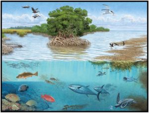 an illustration of an ecosystem that includes birds in the sky, land with grasses and trees with a root network surrounded by a body of water filled with various marine life.